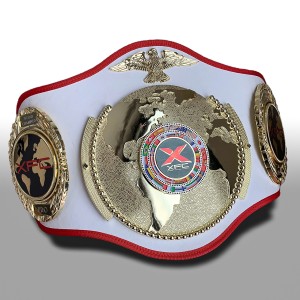 GOLD PRO018 CUSTOMISED CHAMPIONSHIP BELT  ***BEST SELLER***